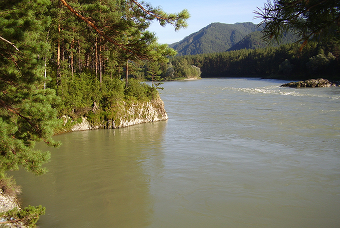 Река Катунь Алтай