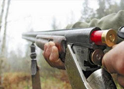 Нарушение правил охоты и оборота огнестрельного оружия