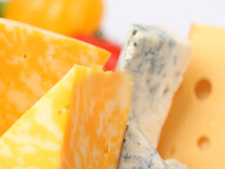 Сырный праздник «Дни алтайского сыра»